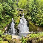 Riese Triberg im Schwarzwald