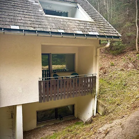 Apartment Riese Triberg im Schwarzwald