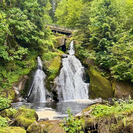 Riese Triberg im Schwarzwald