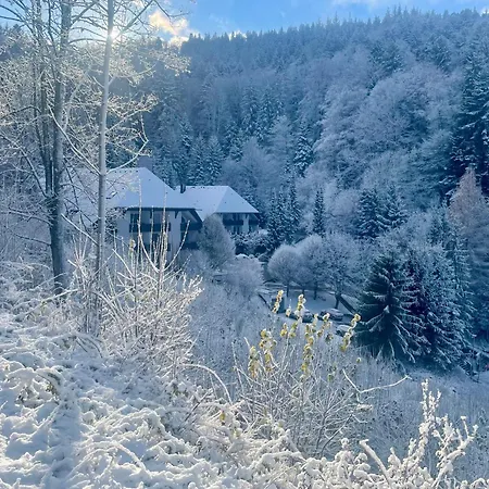 Riese Triberg im Schwarzwald