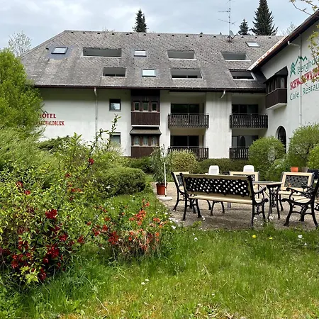 Riese Triberg im Schwarzwald