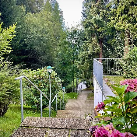 Riese Triberg im Schwarzwald