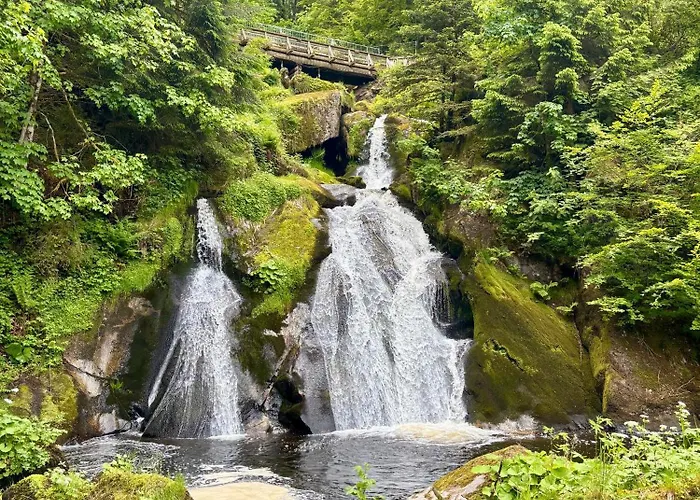 Riese Triberg im Schwarzwald